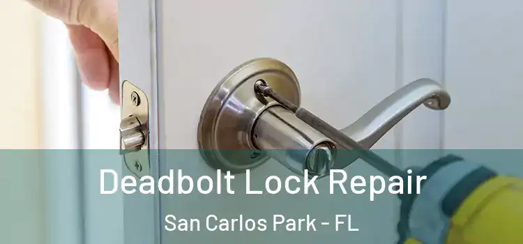  Deadbolt Lock Repair San Carlos Park - FL