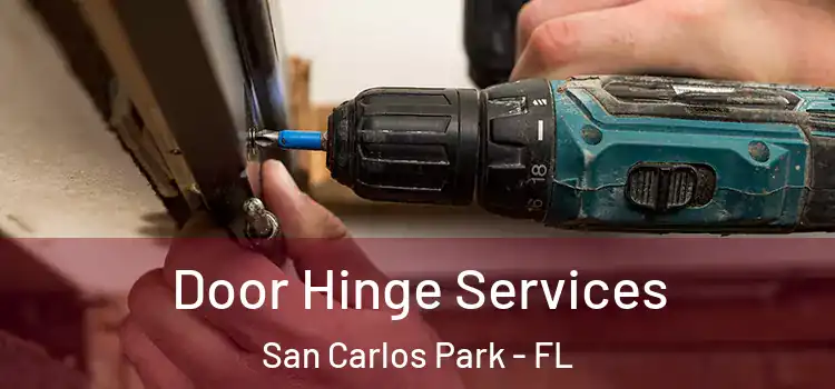 Door Hinge Services San Carlos Park - FL