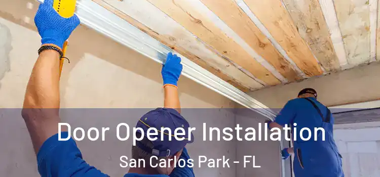  Door Opener Installation San Carlos Park - FL