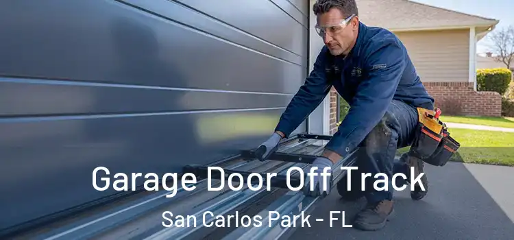  Garage Door Off Track San Carlos Park - FL