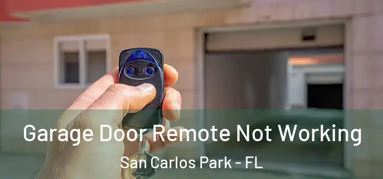  Garage Door Remote Not Working San Carlos Park - FL