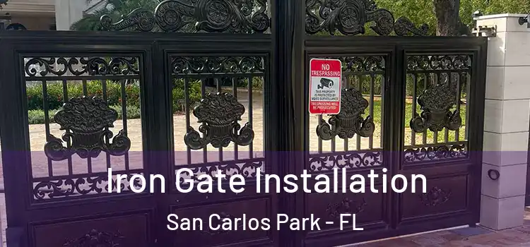  Iron Gate Installation San Carlos Park - FL