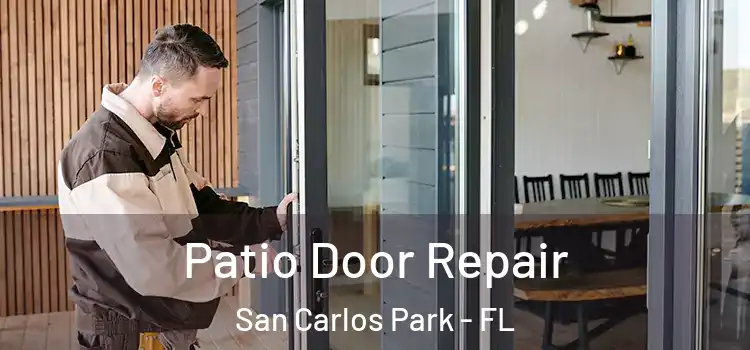 Patio Door Repair San Carlos Park - FL