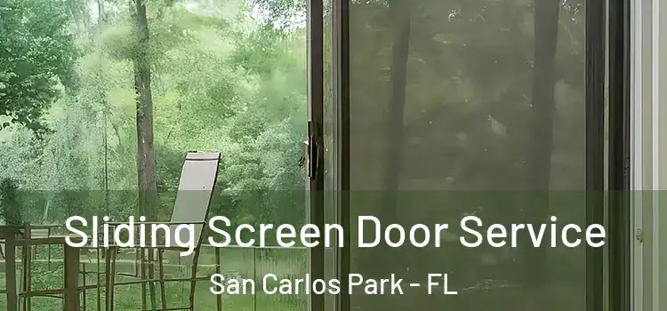  Sliding Screen Door Service San Carlos Park - FL