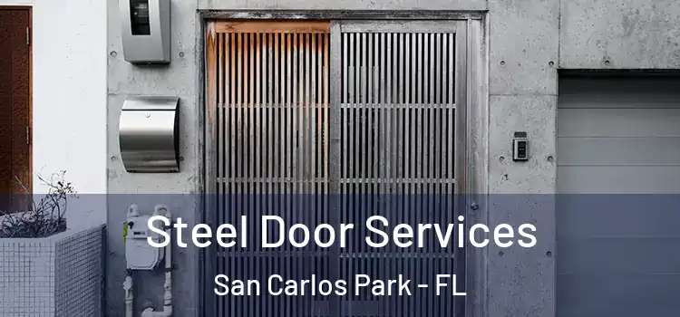 Steel Door Services San Carlos Park - FL